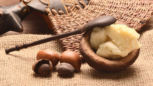 Le pouvoir du karité dans votre quotidien